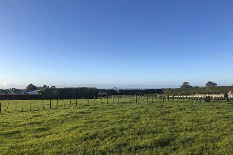 Photo of property in 889a Oropi Road, Oropi, Tauranga, 3173