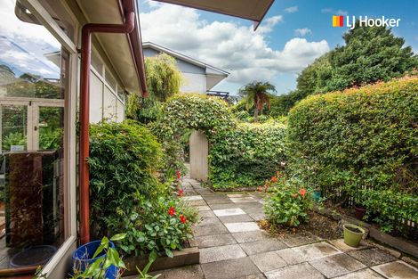 Photo of property in 117 London Street, Dunedin Central, Dunedin, 9016