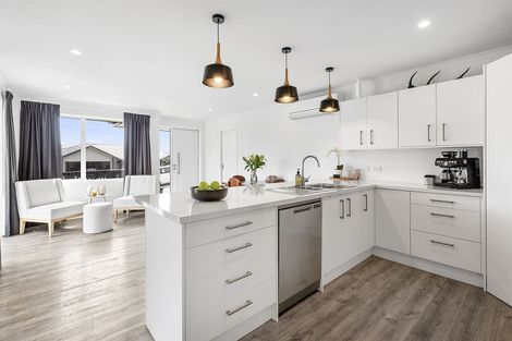 Photo of property in 113 John Burke Drive, Aotea, Porirua, 5024