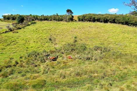 Photo of property in 119a Heatherlea Drive, Ruakaka, 0171