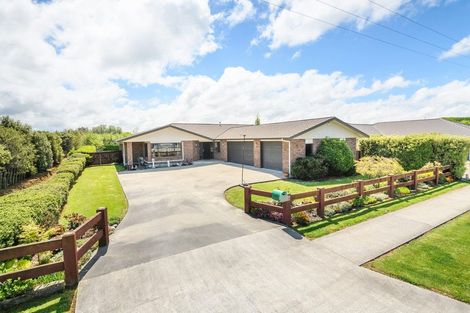Photo of property in 52 Port Street West, Feilding, 4702