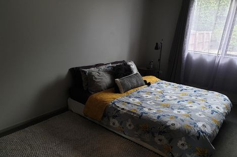 Photo of property in 24 Newcastle Street, Phillipstown, Christchurch, 8011