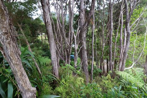 Photo of property in 11 Nikau Street, Duncan Bay, Tennyson Inlet, 7195