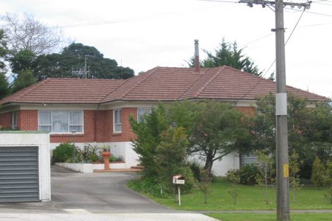 Photo of property in 101 Normanby Street, Dargaville, 0310