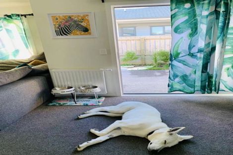 Photo of property in 3 Henrietta Maxwell Grove, Wainuiomata, Lower Hutt, 5014