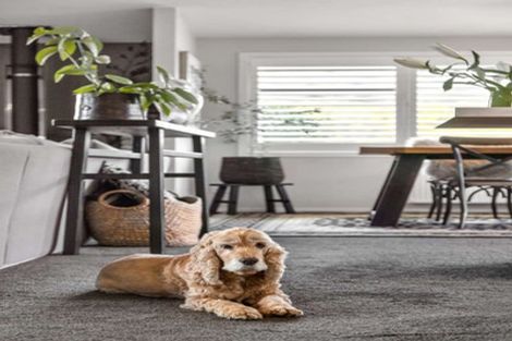 Photo of property in 3 Mallett Lane, Lowburn, Cromwell, 9384