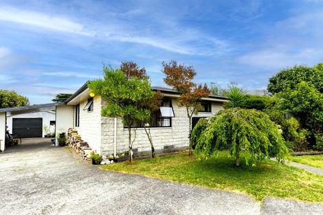 Photo of property in 27 Ngahue Crescent, Carters Beach, Westport, 7825