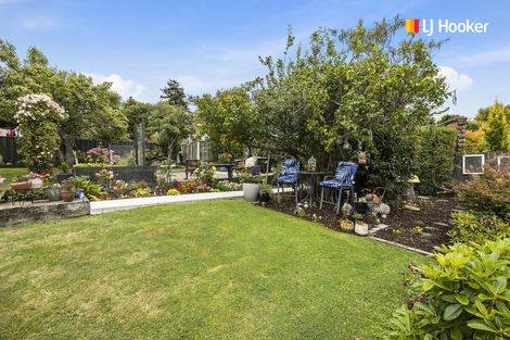 Photo of property in 61 Hazel Avenue, Caversham, Dunedin, 9012