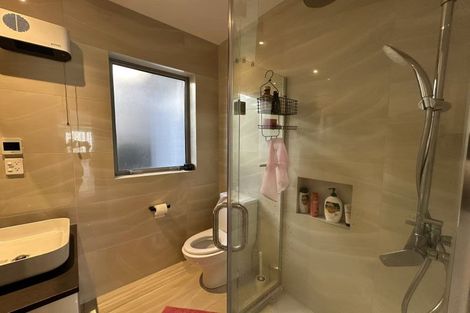Photo of property in 119 Argento Avenue, Flat Bush, Auckland, 2019