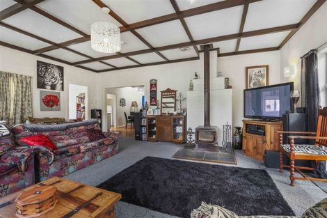 Photo of property in 117 Forest Lake Road, Forest Lake, Hamilton, 3200