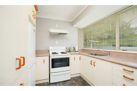 Photo of property in 17 Galway Street, Grasmere, Invercargill, 9810