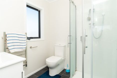 Photo of property in 69 Tennille Street, Flagstaff, Hamilton, 3210