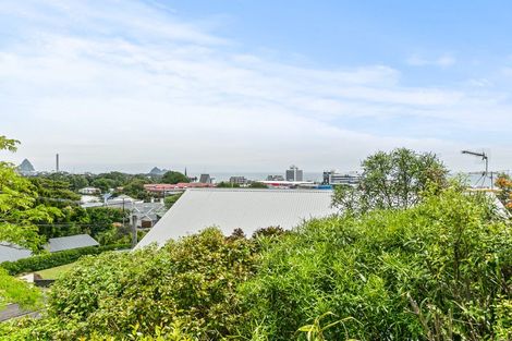 Photo of property in 43 Cameron Street, New Plymouth, 4310