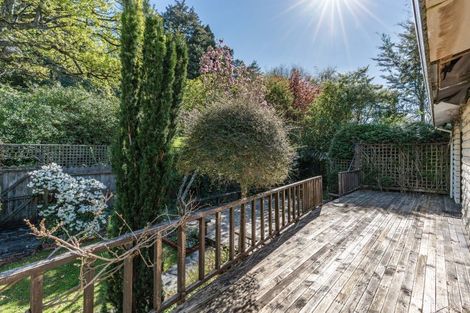 Photo of property in 361 York Place, Dunedin Central, Dunedin, 9016