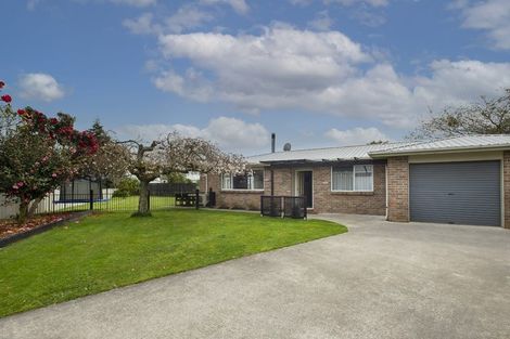 Photo of property in 14 Wrigley Place, Matamata, 3400