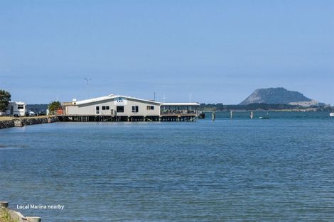 Photo of property in 58 Bert Wall Drive, Omokoroa, 3114