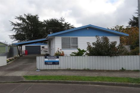 Photo of property in 91 Strathmore Avenue, Levin, 5510