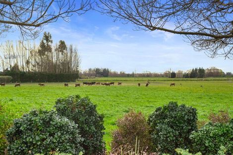 Photo of property in 58 Mill Road, Clarkville, Kaiapoi, 7692
