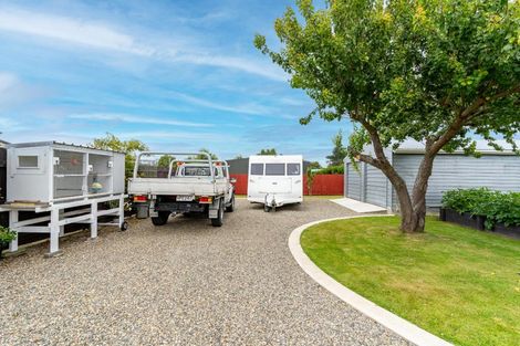 Photo of property in 113 Beach Street, Waikouaiti, 9510