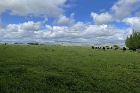 Photo of property in 106 Kukutauaki Road, Koputaroa, Shannon, 5575