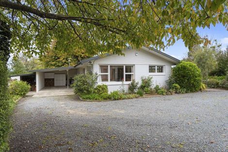 Photo of property in 124 Double Corner Road, Amberley, 7481