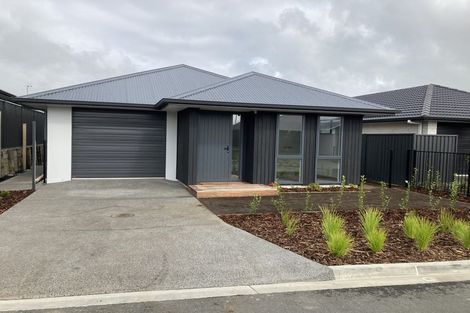 Photo of property in 10 Ash Lane, Omokoroa, 3114