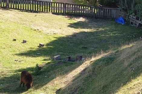 Photo of property in 7 Suffolk Street, Picton, 7220