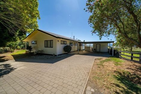 Photo of property in 124 Horrell Road, Morrinsville, 3374