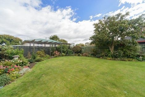 Photo of property in 223 The Terrace, Ashhurst, 4810