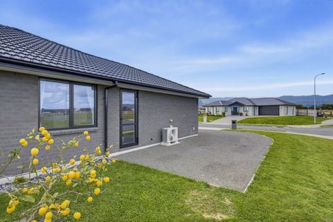 Photo of property in 42 Tainui Street, Levin, 5510