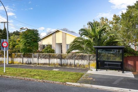 Photo of property in 88 Wellington Street, Hamilton East, Hamilton, 3216