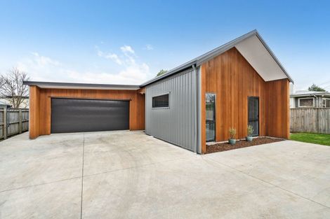 Photo of property in 48a Pownall Street, Masterton, 5810