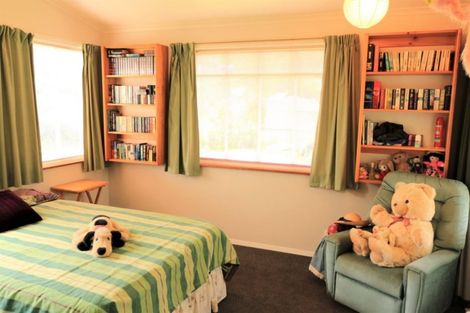 Photo of property in 16 Punga Street, Tangimoana, 4822