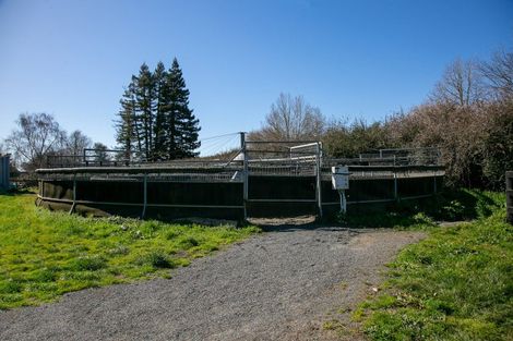 Photo of property in 49 Racecourse Road, Cambridge, 3493