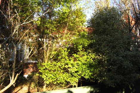 Photo of property in 64 Queen Street, North Dunedin, Dunedin, 9016