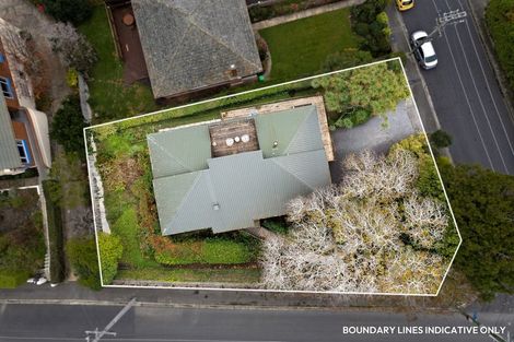 Photo of property in 16 Mcgregor Street, Opoho, Dunedin, 9010