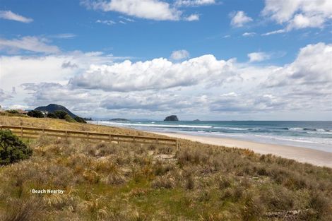 Photo of property in 44b Leander Street, Mount Maunganui, 3116