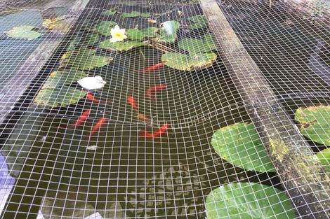 Photo of property in 104 Hays Place, Thames, 3500