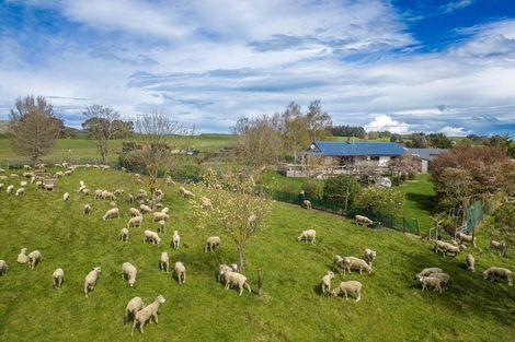 Photo of property in 425 Te Kura Road, Otane, 4277