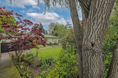 Photo of property in 484 College Street, Hokowhitu, Palmerston North, 4410