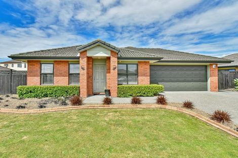 Photo of property in 17 Belfry Place, Wattle Downs, Auckland, 2103