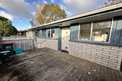 Photo of property in 224 Nixon Street, Hamilton East, Hamilton, 3216
