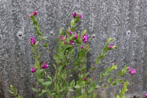 Photo of property in 45d Mcdonald Street, Mosgiel, 9024