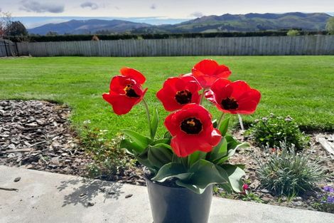 Photo of property in 100a Main Street, Oxford, 7430