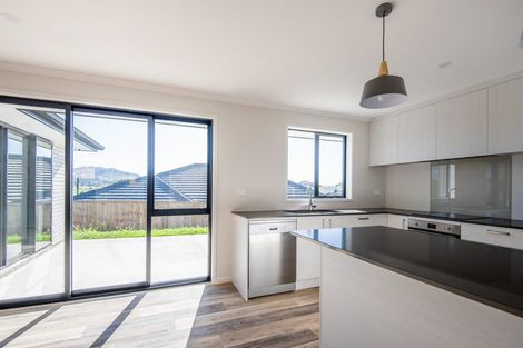 Photo of property in 101 Harriet Johnston Drive, Pokeno, 2402