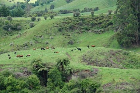 Photo of property in 150 Papanui Road, Merivale, Christchurch, 8014