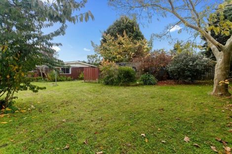 Photo of property in 26 Tonga Street, Taupo, 3330