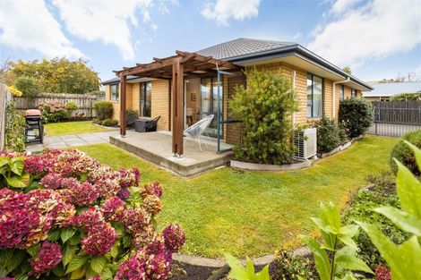 Photo of property in 25a Hope Drive, Witherlea, Blenheim, 7201