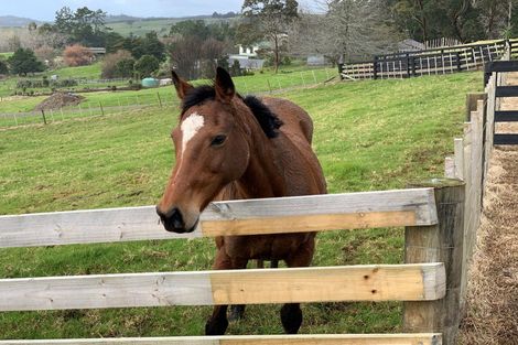 Photo of property in 637 Ormandy Road, Mangapai, 0178