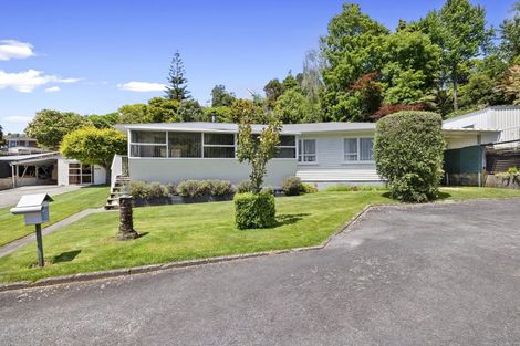 Photo of property in 11a Thames Street, Welbourn, New Plymouth, 4310
